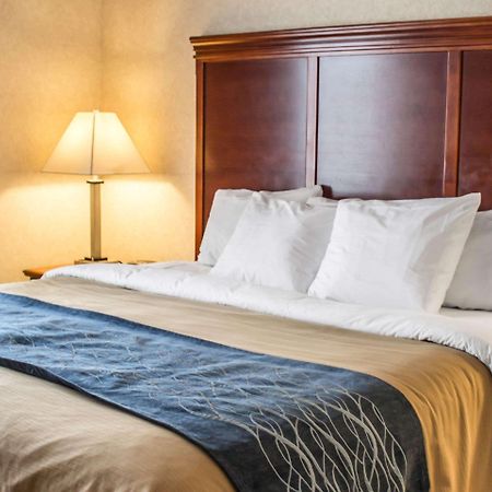 Comfort Inn & Suites Kent - University Area 外观 照片