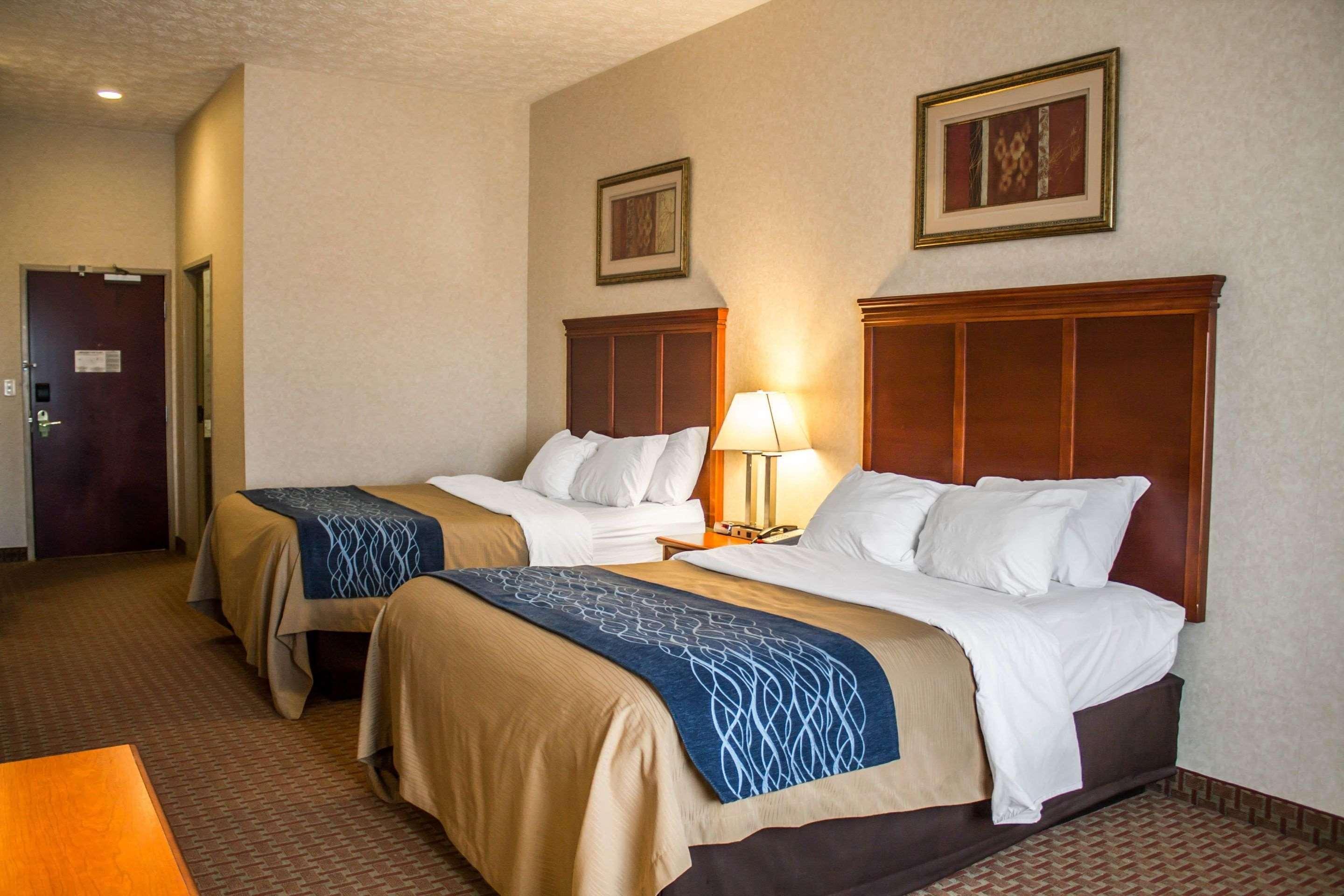 Comfort Inn & Suites Kent - University Area 外观 照片