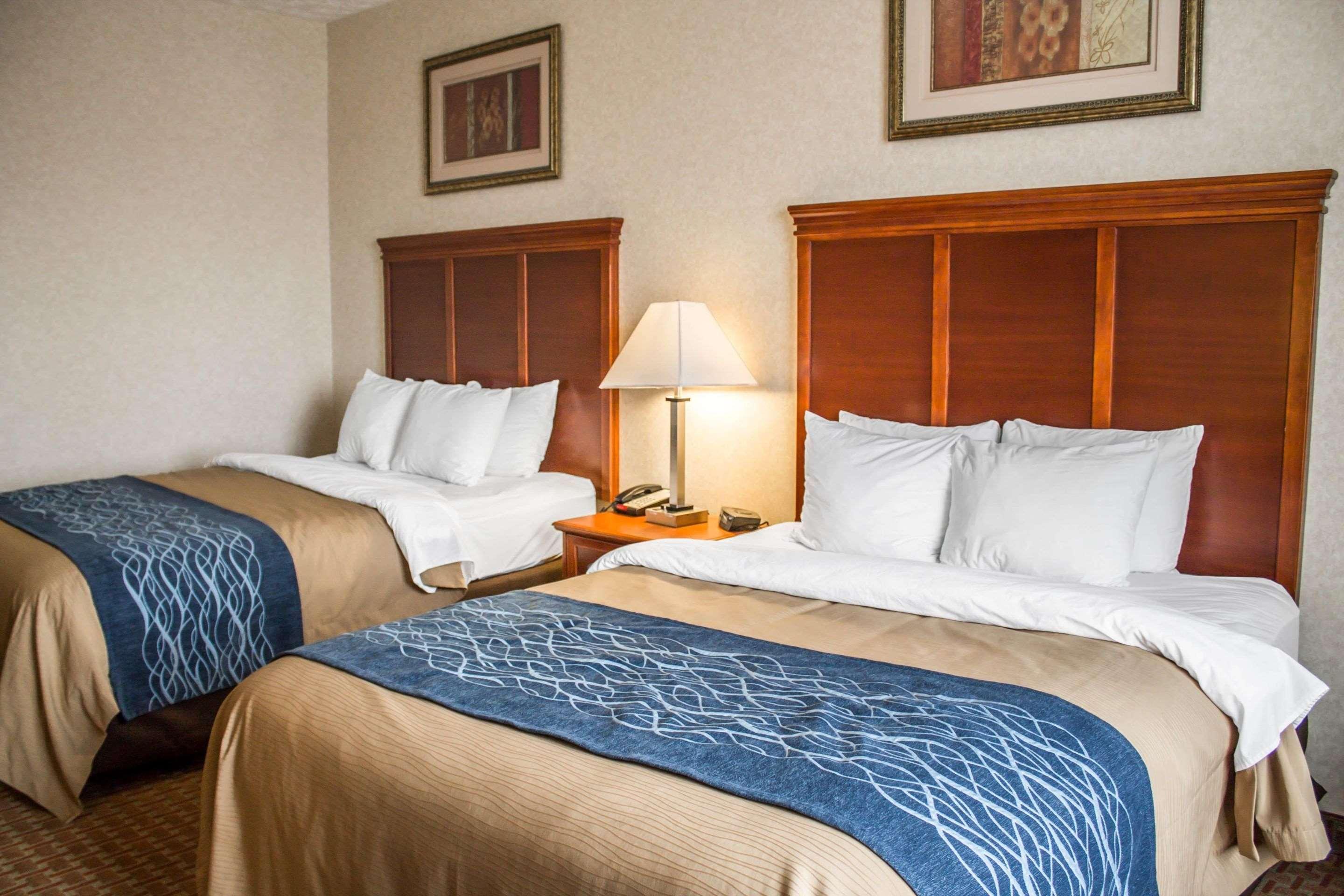 Comfort Inn & Suites Kent - University Area 外观 照片